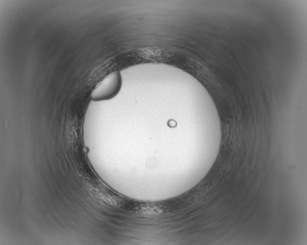 X0000078830702200612041813