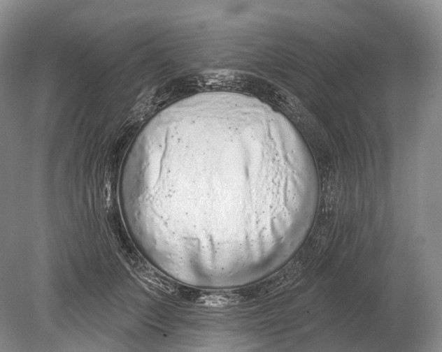 X0000078830703200612041813