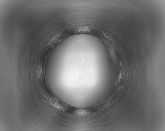 X0000078830704200612041813