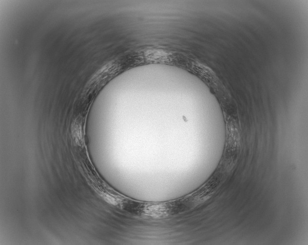 X0000078830705200612041813