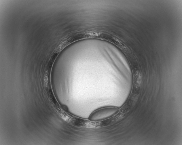 X0000078830707200612041813