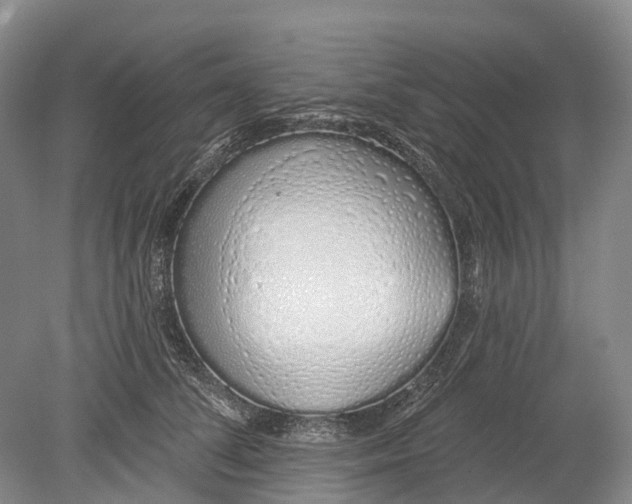 X0000078830708200612041813