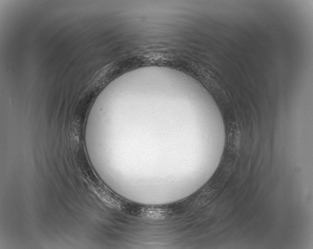 X0000078830710200612041813