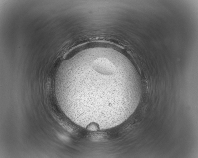 X0000078830711200612041813