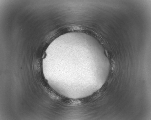 X0000078830715200612041813