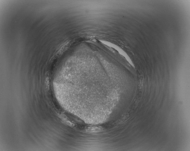 X0000078830716200612041813