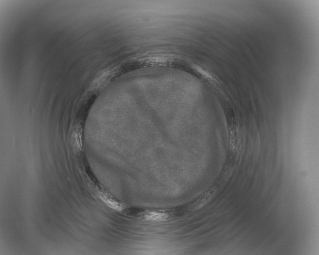 X0000078830718200612041813