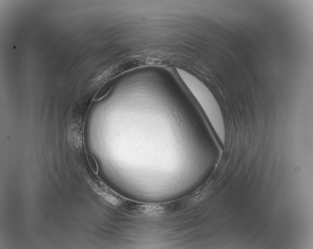 X0000078830719200612041813