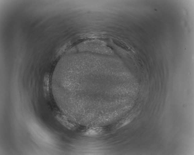 X0000078830720200612041813