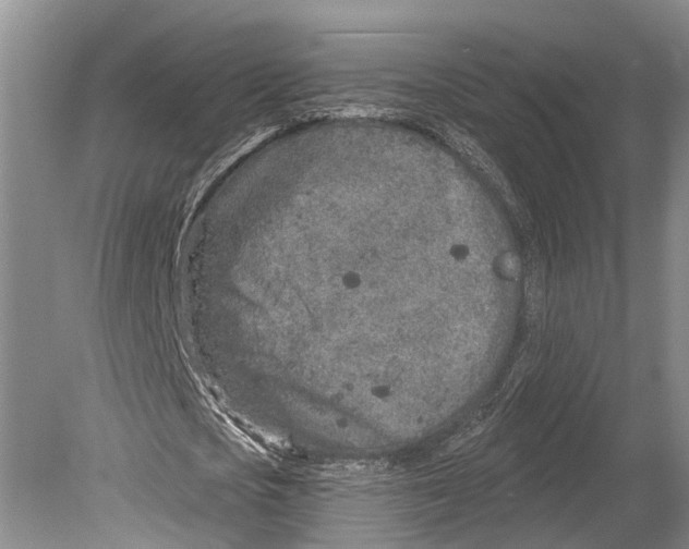 X0000078830721200612041812