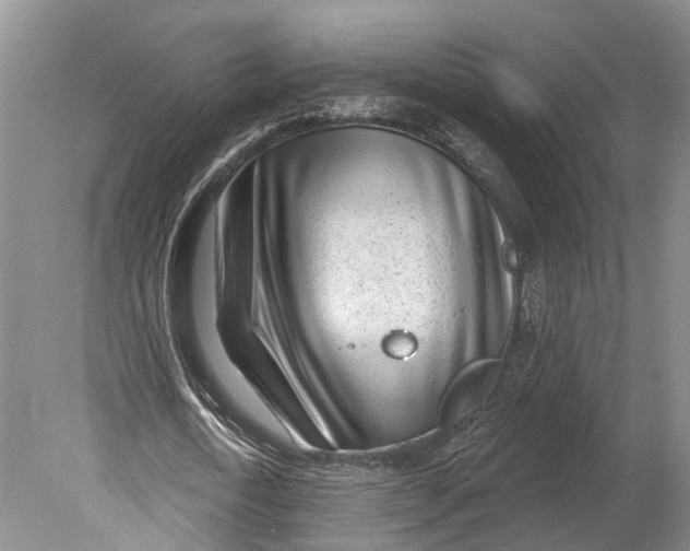 X0000078830722200612041812