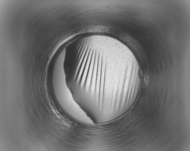 X0000078830724200612041812