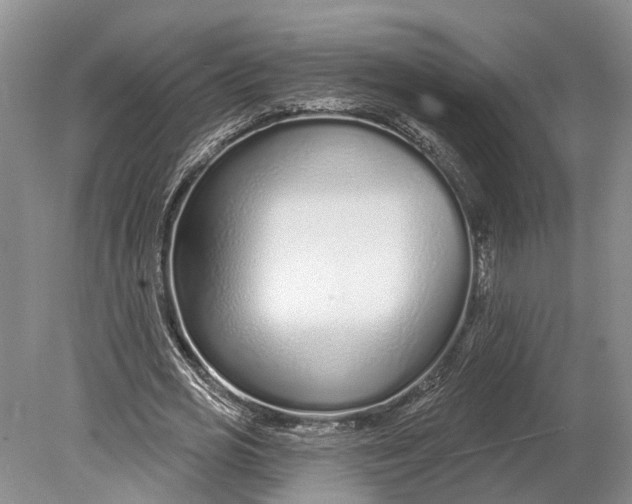 X0000078830725200612041812