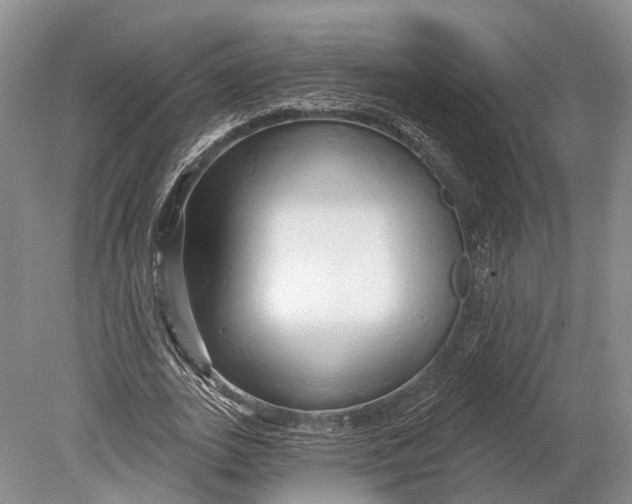 X0000078830727200612041812