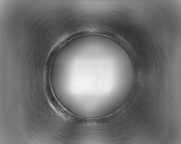 X0000078830730200612041812