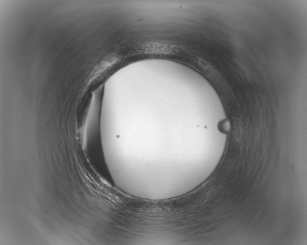 X0000078830731200612041812