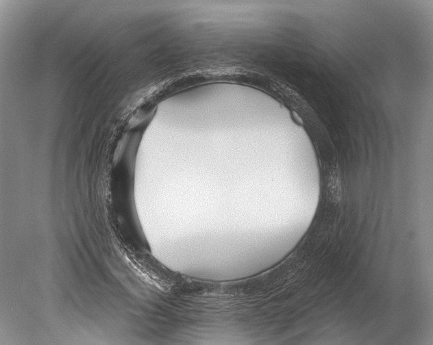 X0000078830732200612041812