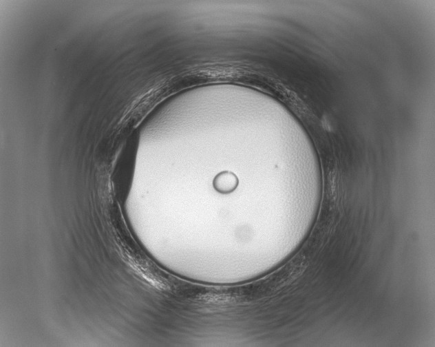 X0000078830733200612041812