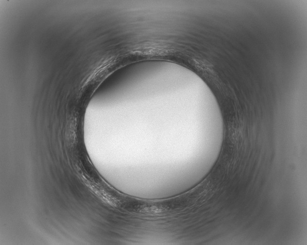 X0000078830735200612041812