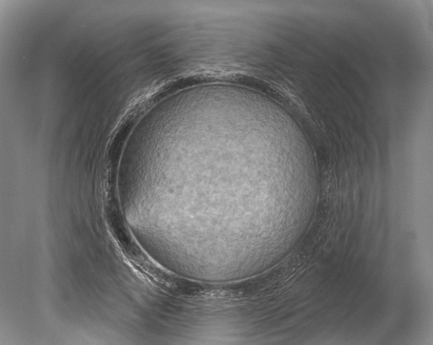 X0000078830736200612041812