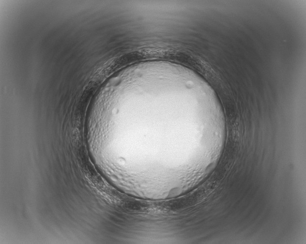 X0000078830737200612041812