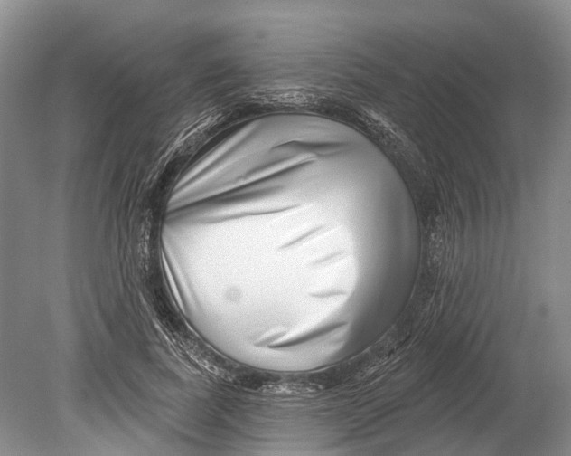 X0000078830739200612041813