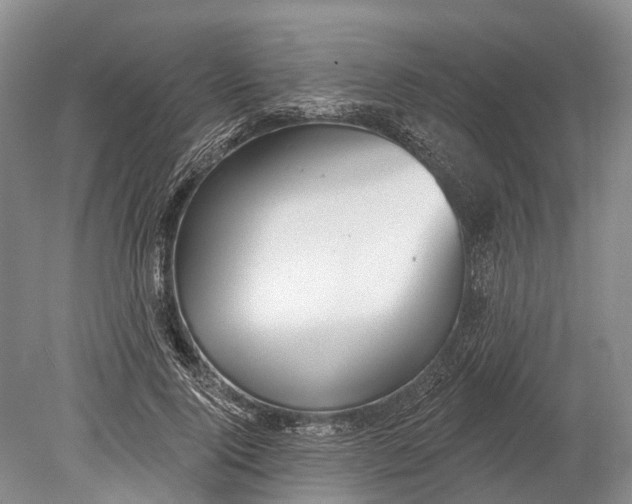 X0000078830740200612041813