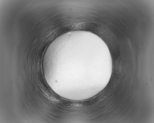 X0000078830741200612041813