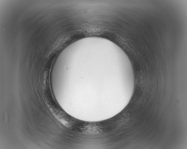 X0000078830742200612041813