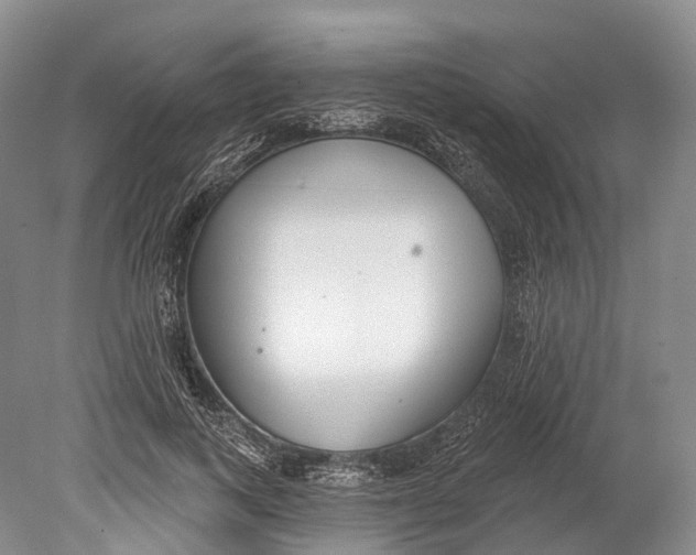 X0000078830743200612041813