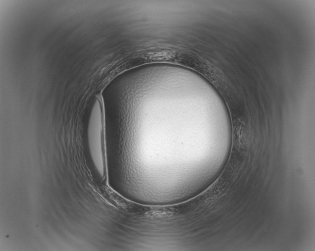 X0000078830745200612041813