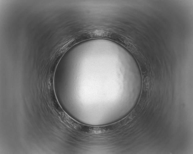 X0000078830746200612041813