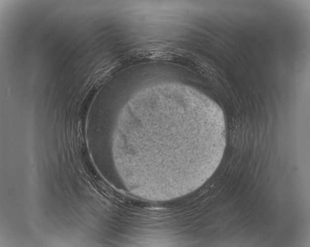 X0000078830748200612041813