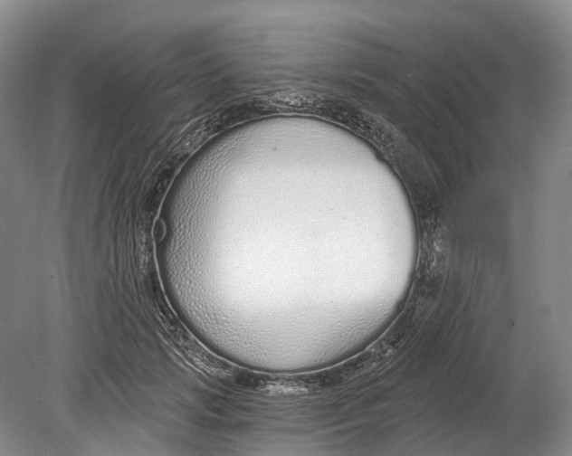 X0000078830749200612041813