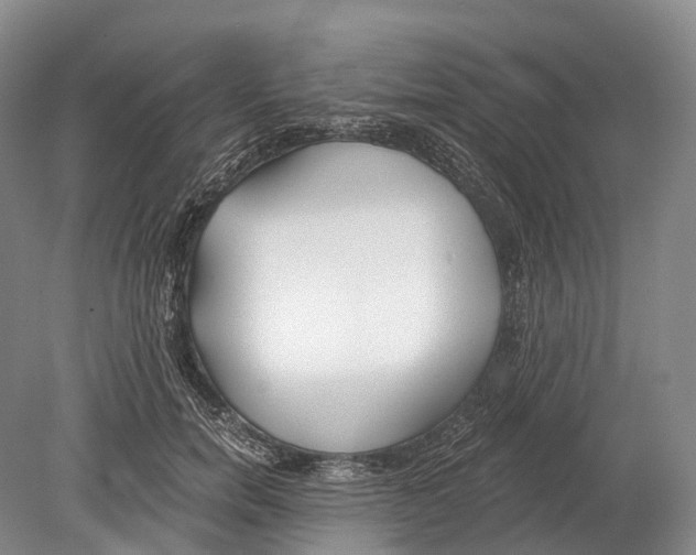 X0000078830750200612041813