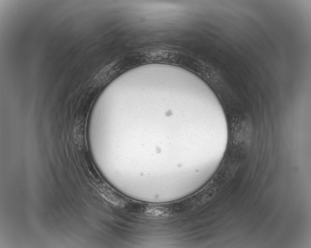 X0000078830753200612041813