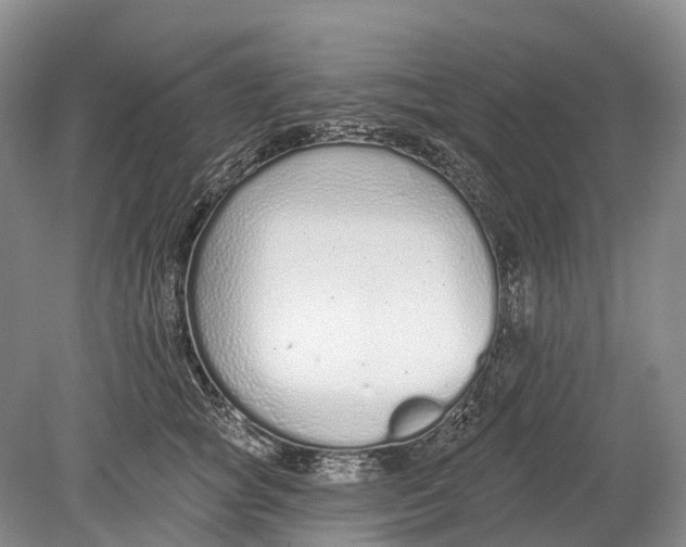 X0000078830757200612041813