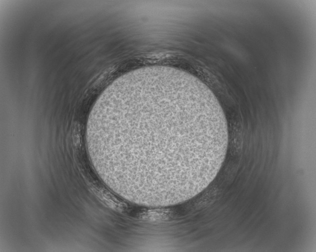 X0000078830758200612041813