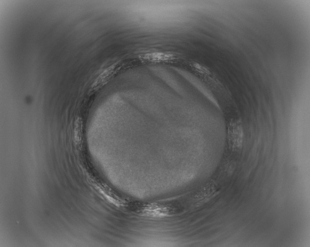 X0000078830760200612041813