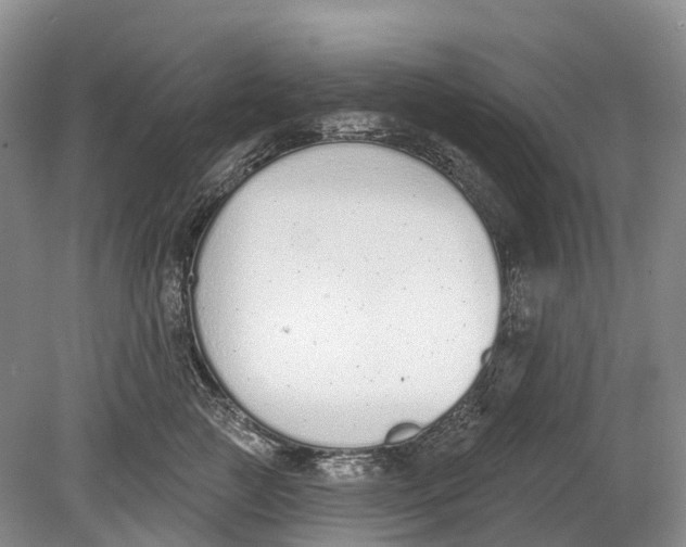 X0000078830761200612041813