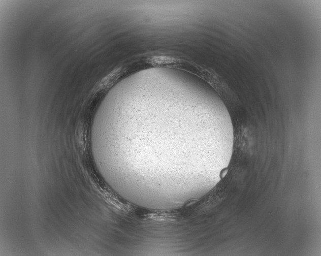 X0000078830763200612041813