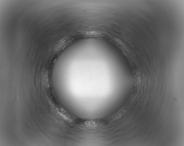 X0000078830764200612041813