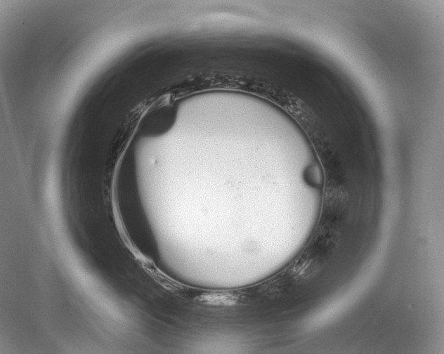 X0000078830765200612041813