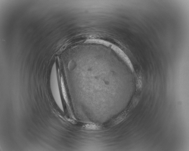 X0000078830766200612041813