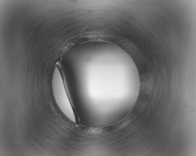 X0000078830767200612041813