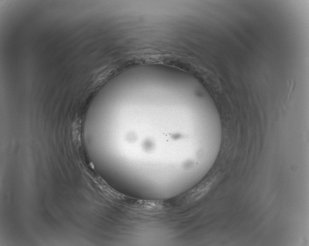 X0000078830768200612041813