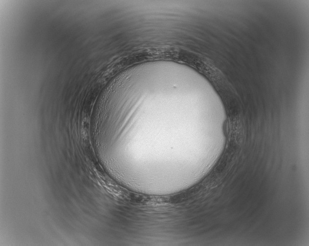 X0000078830770200612041812