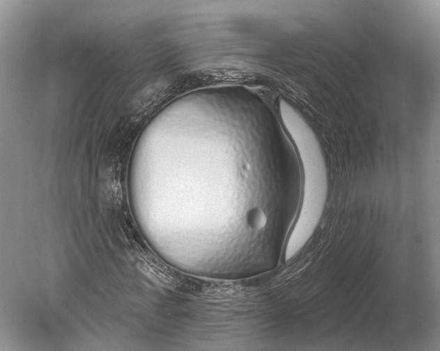 X0000078830771200612041812