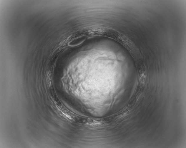 X0000078830772200612041812