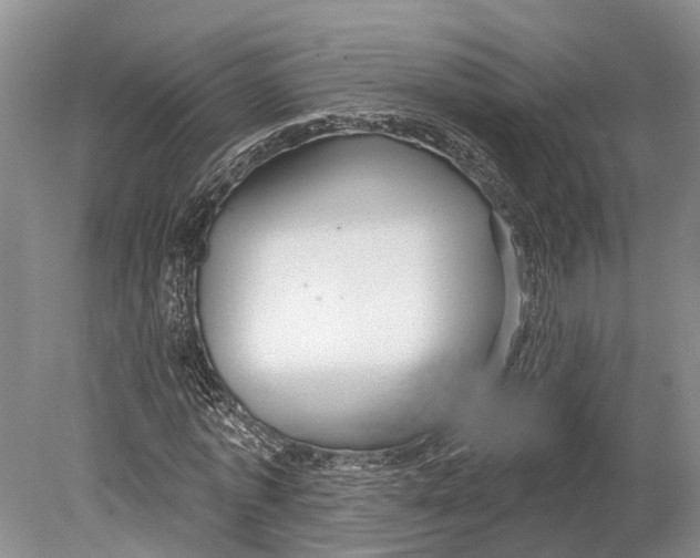 X0000078830773200612041812